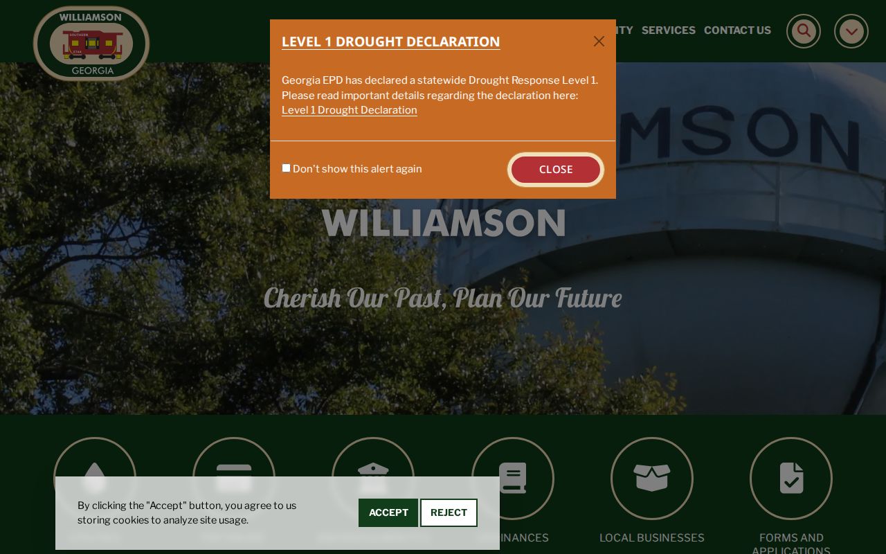 Official Williamson Georgia city site relevant to Pike County arrest-record routing
